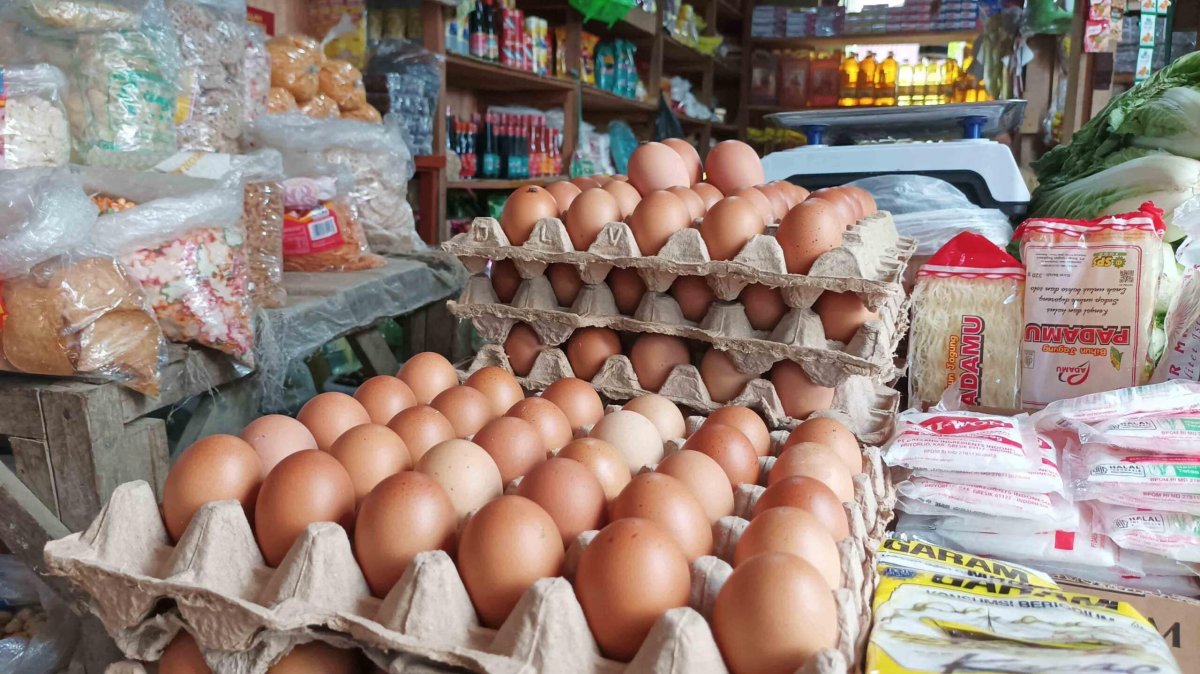 Harga Telur Ayam Hari Ini, Senin 26 Oktober 2026: Cek Harga per Kilogram